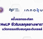 ไฟล์ Presentation นำเสนอผลิตภัณฑ์จาก INNOZUS, Montien Riverside Hotel, Riverside Bangkok